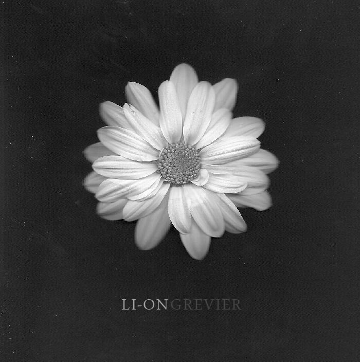 LI–ON GREVIER