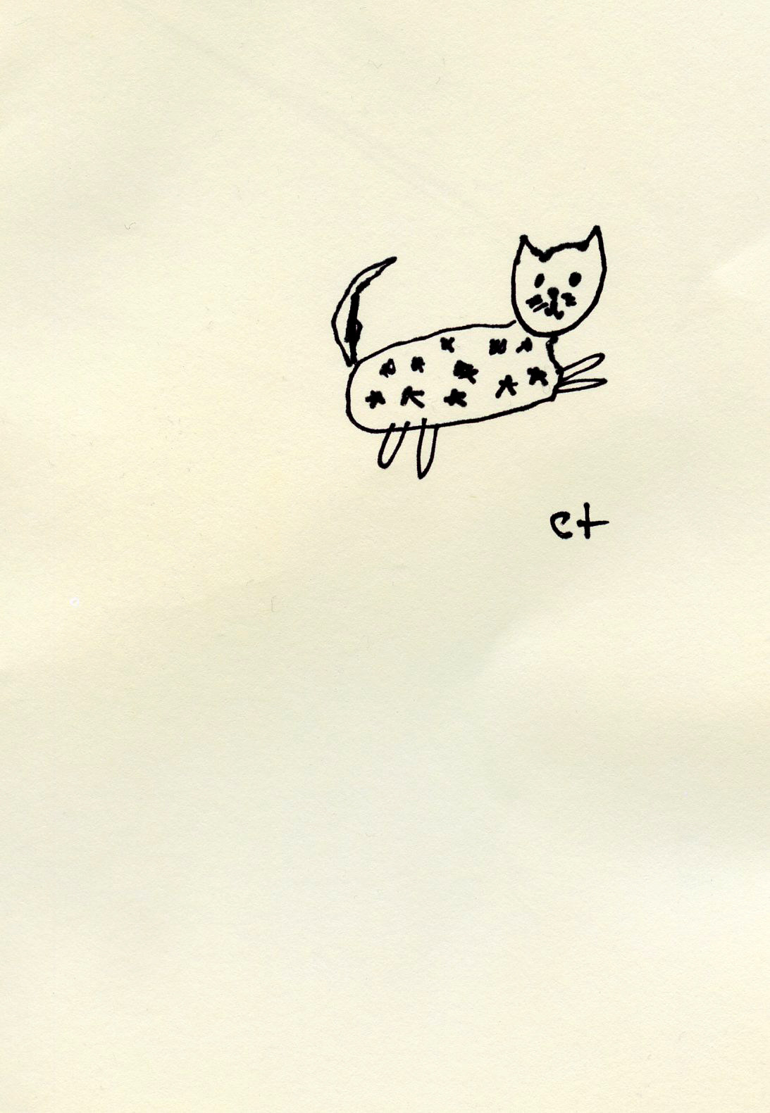 Starry Cat